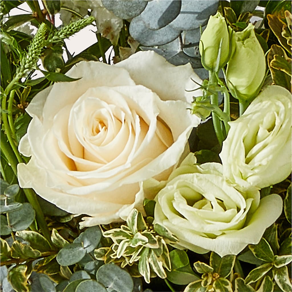 Cashmere Bouquet –  Peonies Plants On Main, Woodruff SC