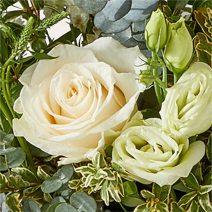 Cashmere Bouquet –  Peonies Plants On Main, Woodruff SC