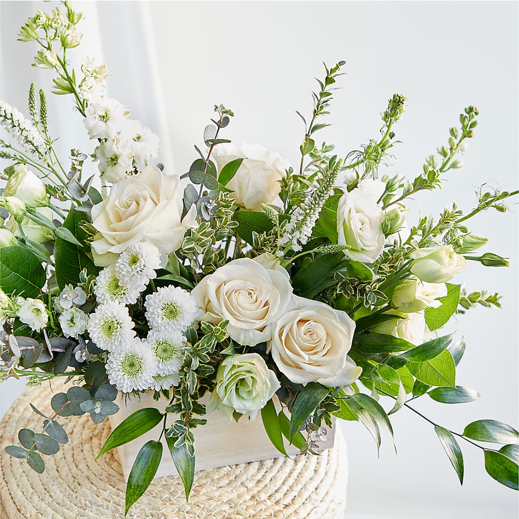 Cashmere Bouquet –  Peonies Plants On Main, Woodruff SC