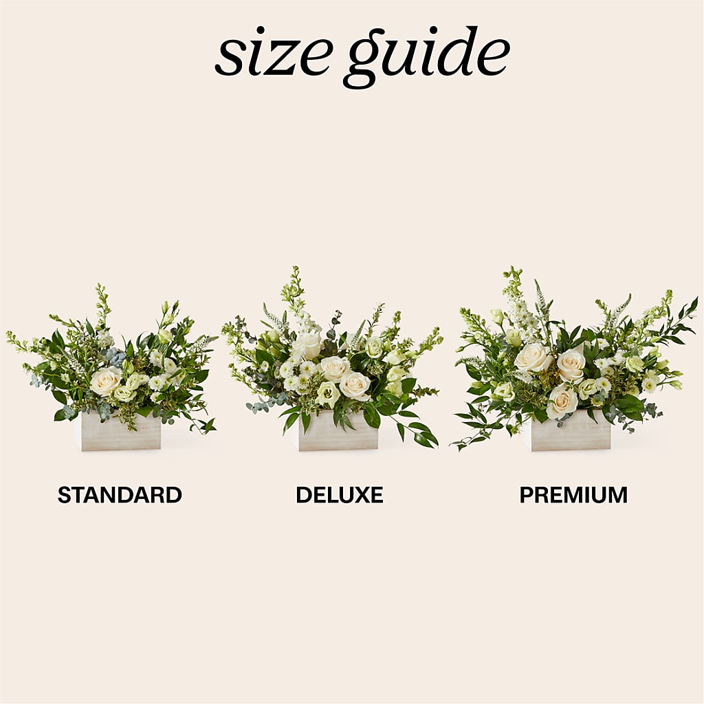 Cashmere Bouquet –  Peonies Plants On Main, Woodruff SC