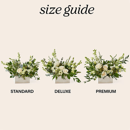Cashmere Bouquet –  Peonies Plants On Main, Woodruff SC