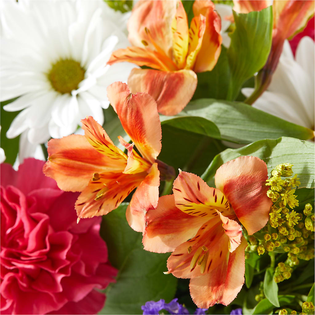 Oopsie Daisy Box Bouquet –  Peonies Plants On Main, Woodruff SC
