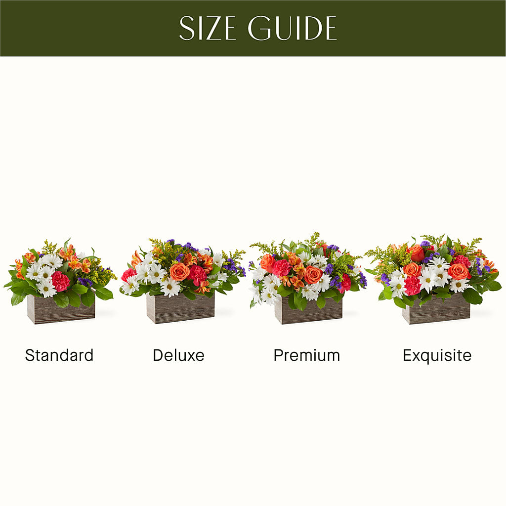 Oopsie Daisy Box Bouquet –  Peonies Plants On Main, Woodruff SC