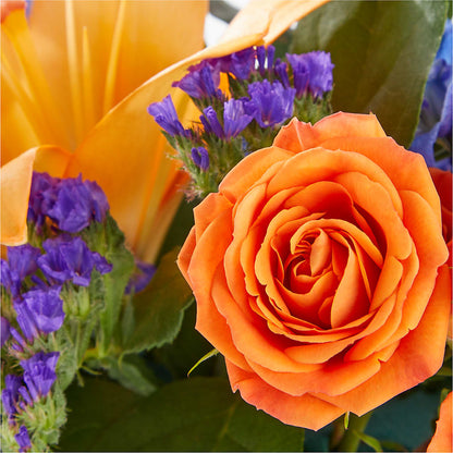 Radiant Citrus Box Bouquet –  Peonies Plants On Main, Woodruff SC
