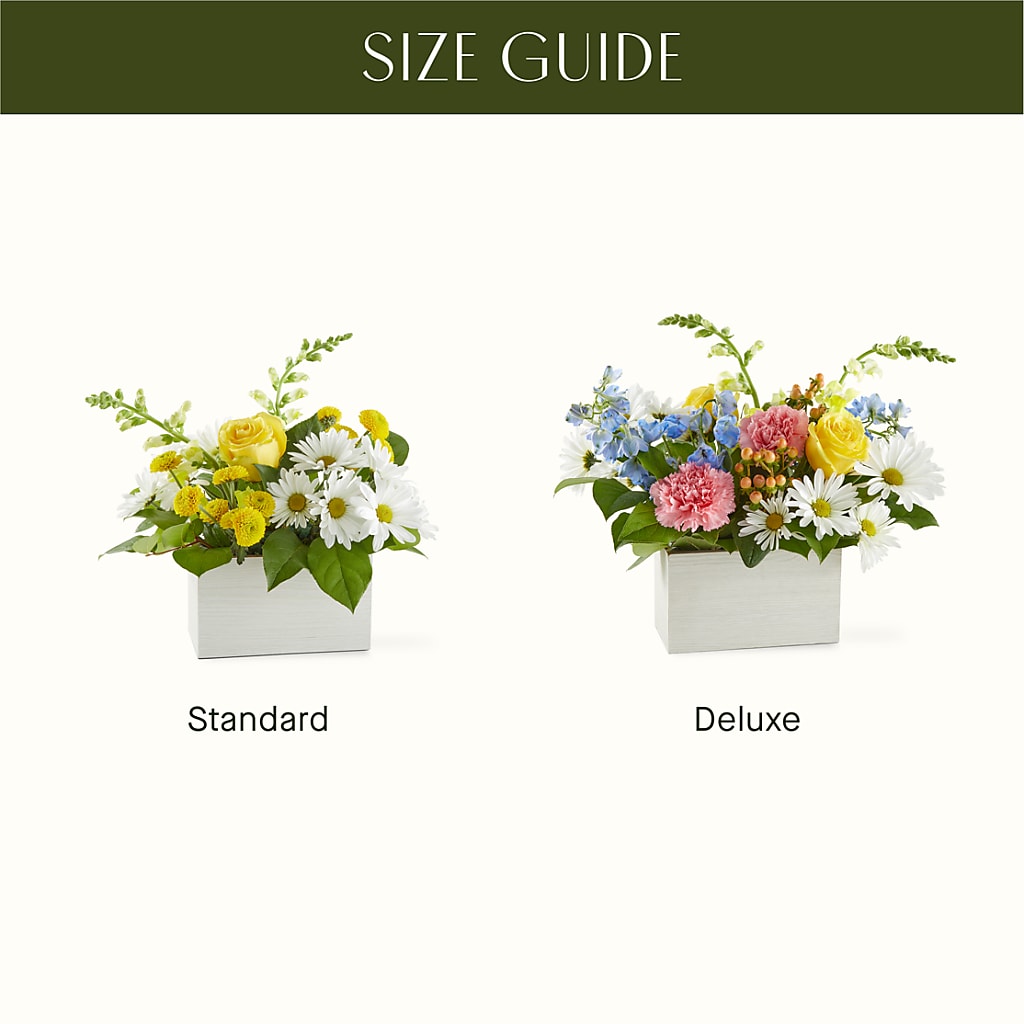 Sun Salutation Box Bouquet –  Peonies Plants On Main, Woodruff SC