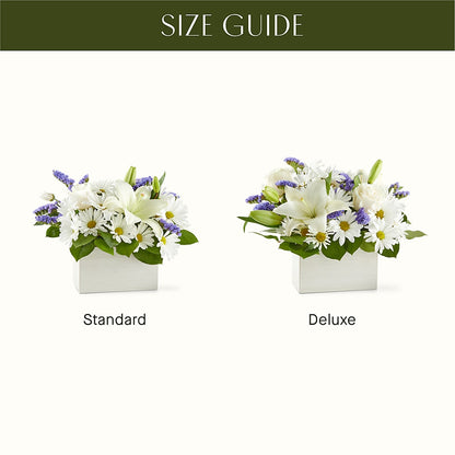 Beyond Blue Box Bouquet –  Peonies Plants On Main, Woodruff SC