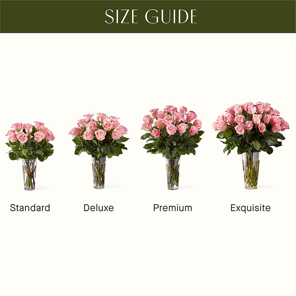 Long Stem Pink Rose Bouquet –  Peonies Plants On Main, Woodruff SC