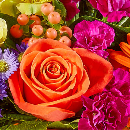 Tricks & Treats Pumpkin –  Peonies Plants On Main, Woodruff SC