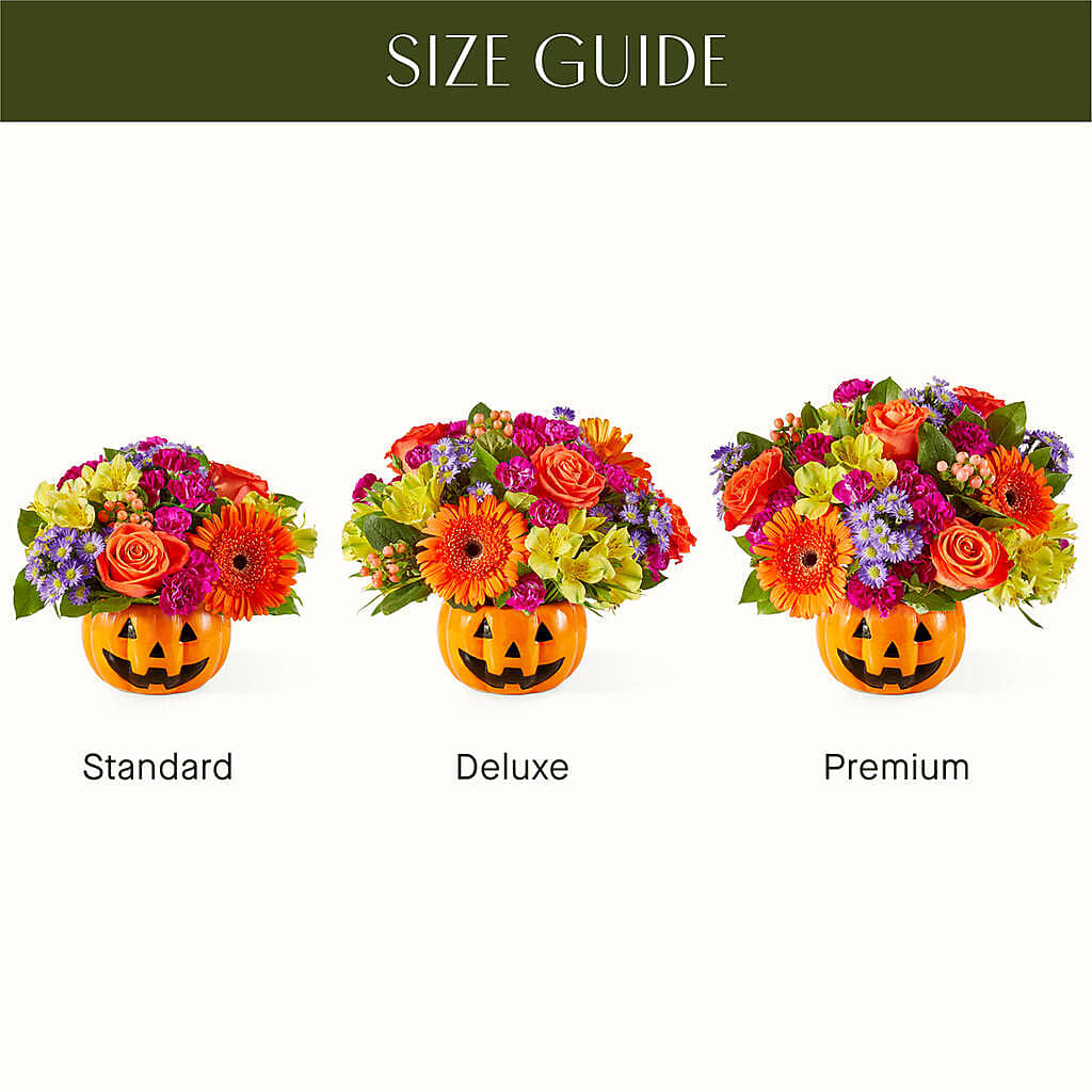 Tricks & Treats Pumpkin –  Peonies Plants On Main, Woodruff SC