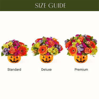 Tricks & Treats Pumpkin –  Peonies Plants On Main, Woodruff SC