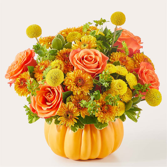 Gourdgeous Pumpkin –  Peonies Plants On Main, Woodruff SC