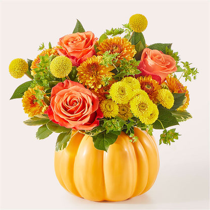 Gourdgeous Pumpkin –  Peonies Plants On Main, Woodruff SC