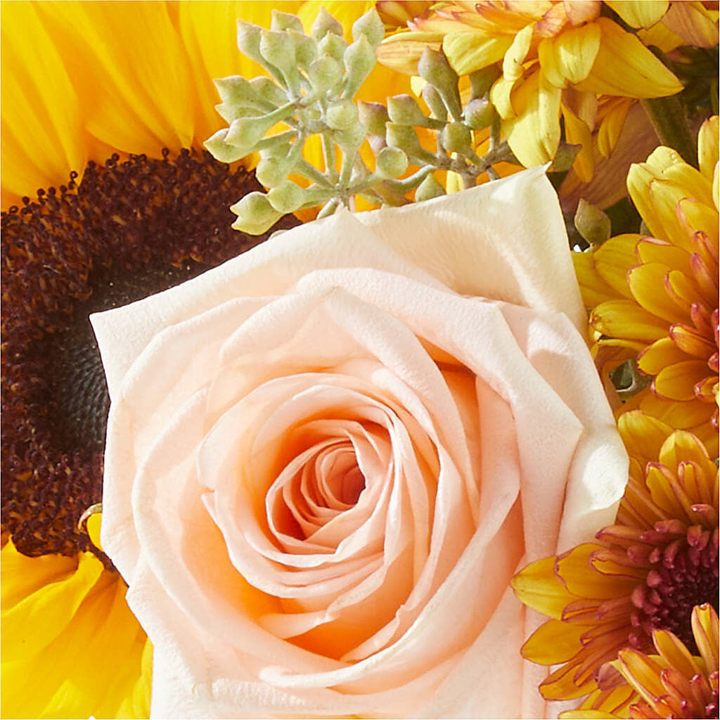Pumpkin to Talk About Bouquet –  Peonies Plants On Main, Woodruff SC