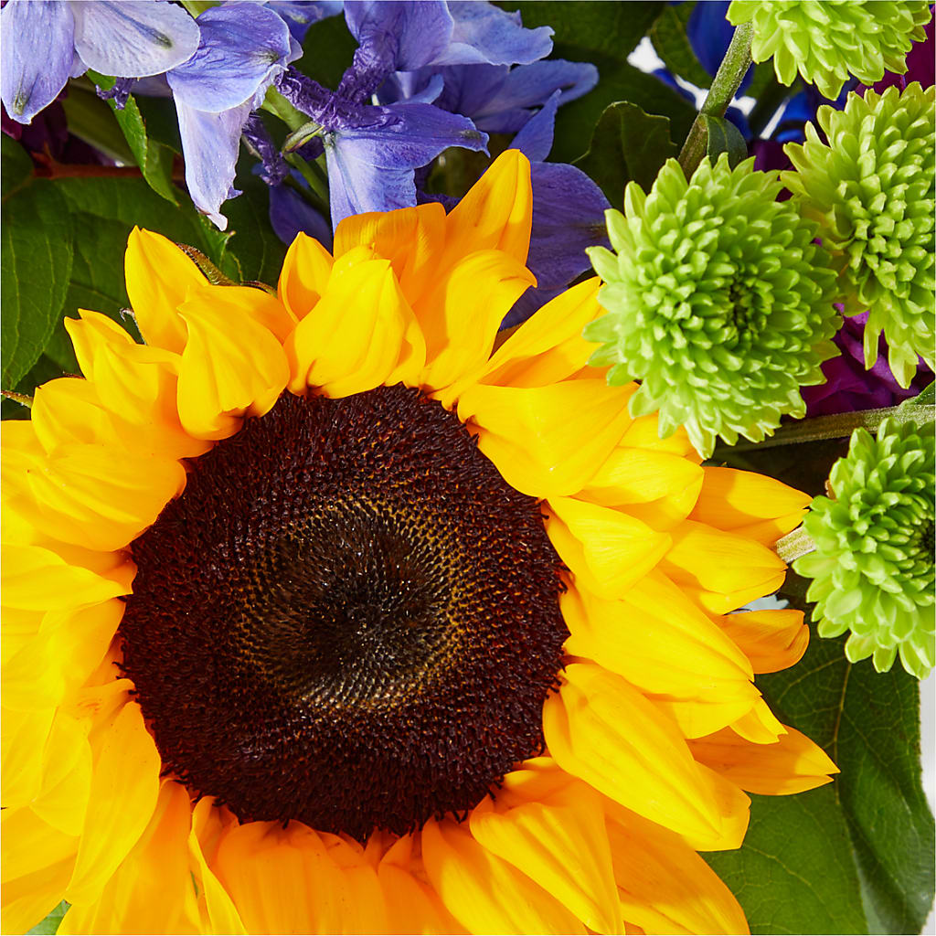 Catching Rays Bouquet –  Peonies Plants On Main, Woodruff SC