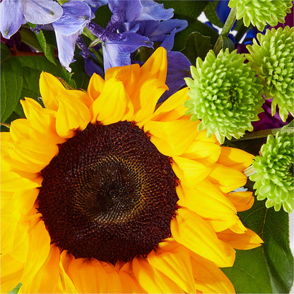 Catching Rays Bouquet –  Peonies Plants On Main, Woodruff SC