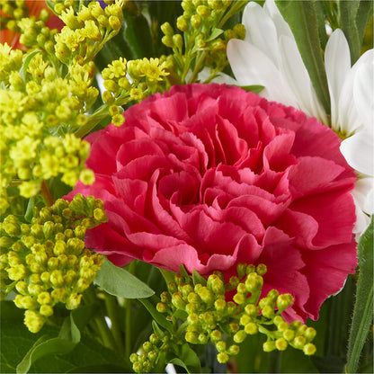 Oopsie Daisy Bouquet –  Peonies Plants On Main, Woodruff SC