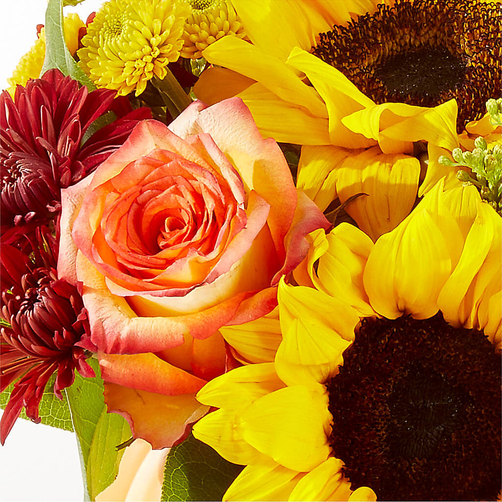 Golden Gourd Pumpkin Bouquet –  Peonies Plants On Main, Woodruff SC