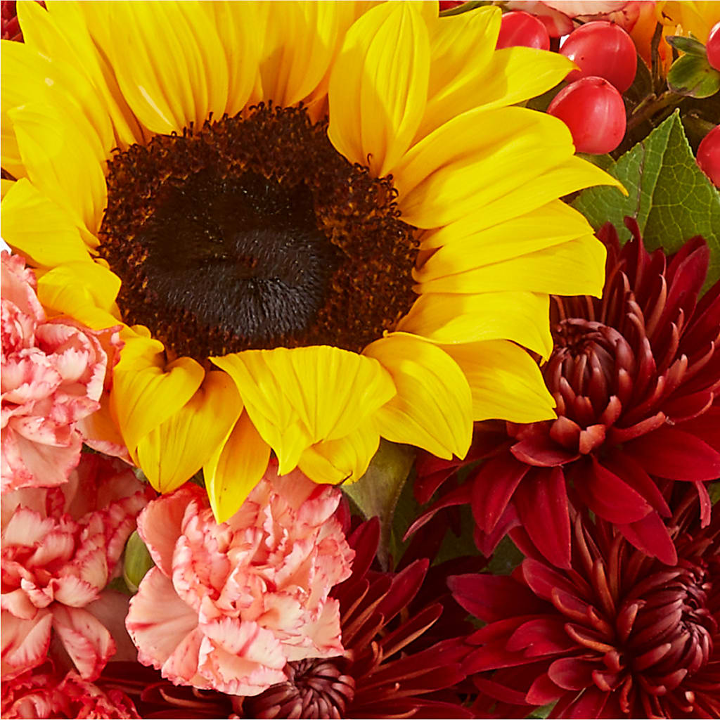 Fresh Cider Bouquet –  Peonies Plants On Main, Woodruff SC