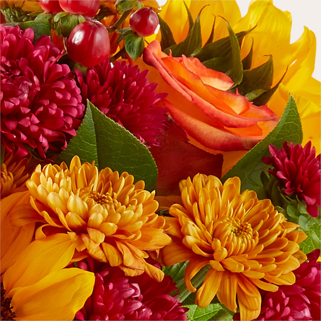 Sweater Season - A Florist Original –  Peonies Plants On Main, Woodruff SC