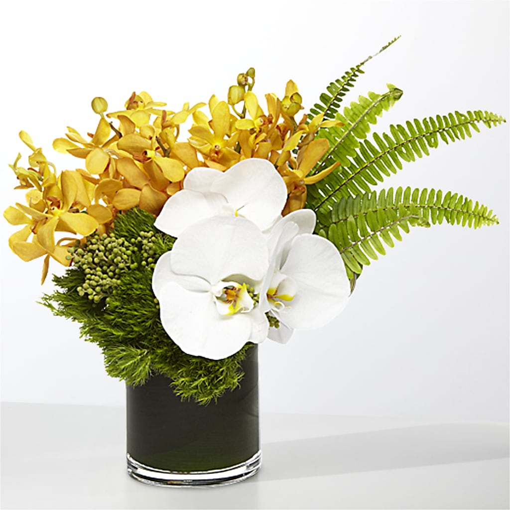 The Tropics –  Peonies Plants On Main, Woodruff SC