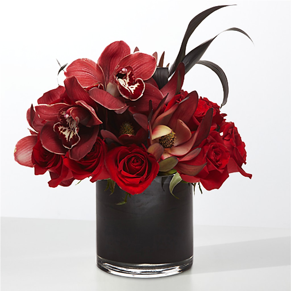 The Eclipse –  Peonies Plants On Main, Woodruff SC