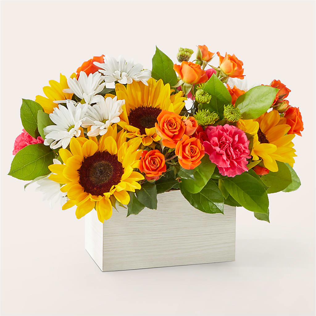Sun-drenched Blooms Box Bouquet –  Peonies Plants On Main, Woodruff SC