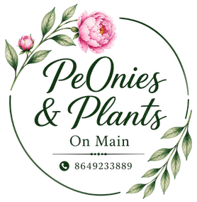 Peonies Plants On Main