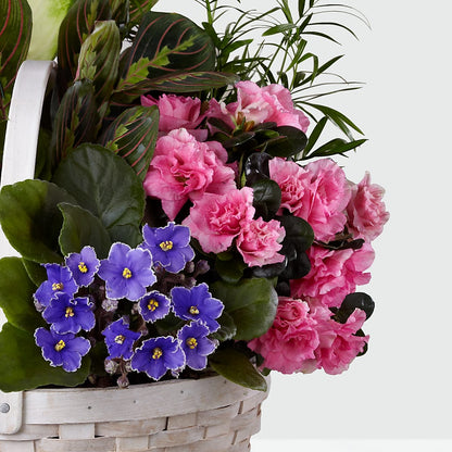 Peaceful Garden Planter –  Peonies Plants On Main, Woodruff SC
