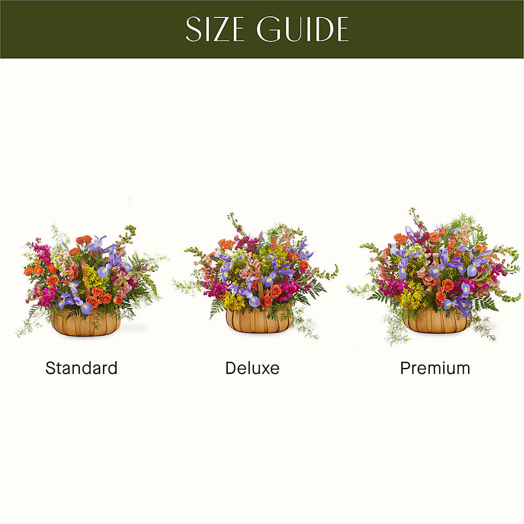 Garden of Life Basket –  Peonies Plants On Main, Woodruff SC