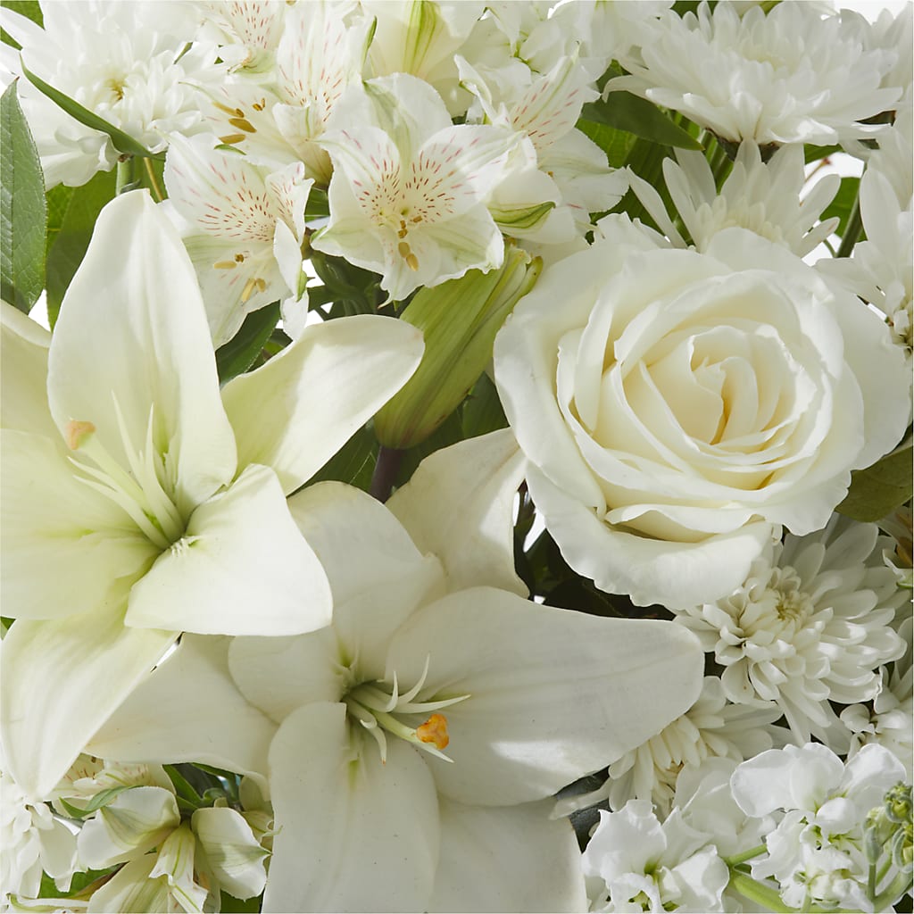 Peaceful Reflections Arrangement –  Peonies Plants On Main, Woodruff SC