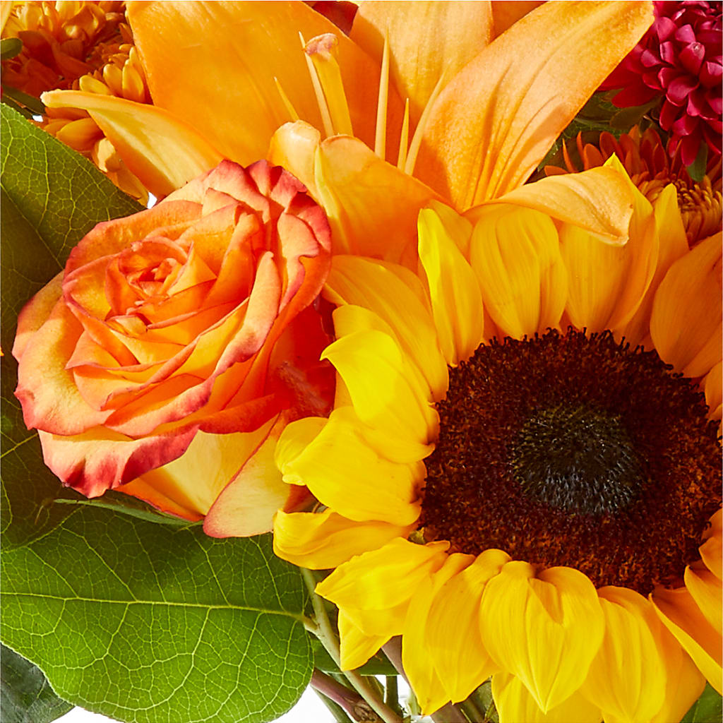 Fall Day Bouquet –  Peonies Plants On Main, Woodruff SC