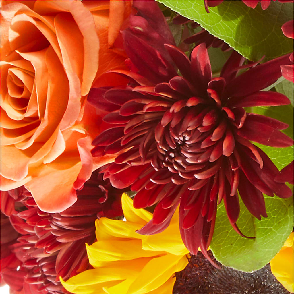 September Sunset Bouquet –  Peonies Plants On Main, Woodruff SC
