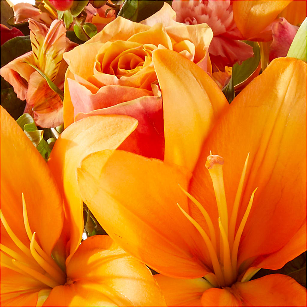 Afternoon Light Bouquet –  Peonies Plants On Main, Woodruff SC