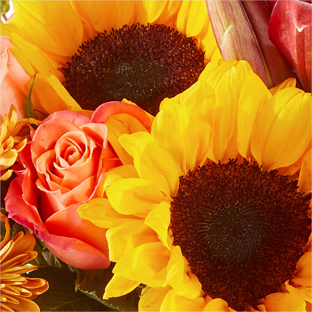 Acorn Lane Bouquet –  Peonies Plants On Main, Woodruff SC