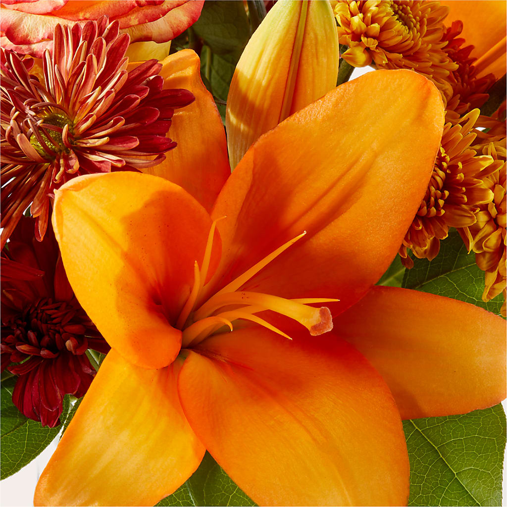 Autumnal Aroma Bouquet –  Peonies Plants On Main, Woodruff SC