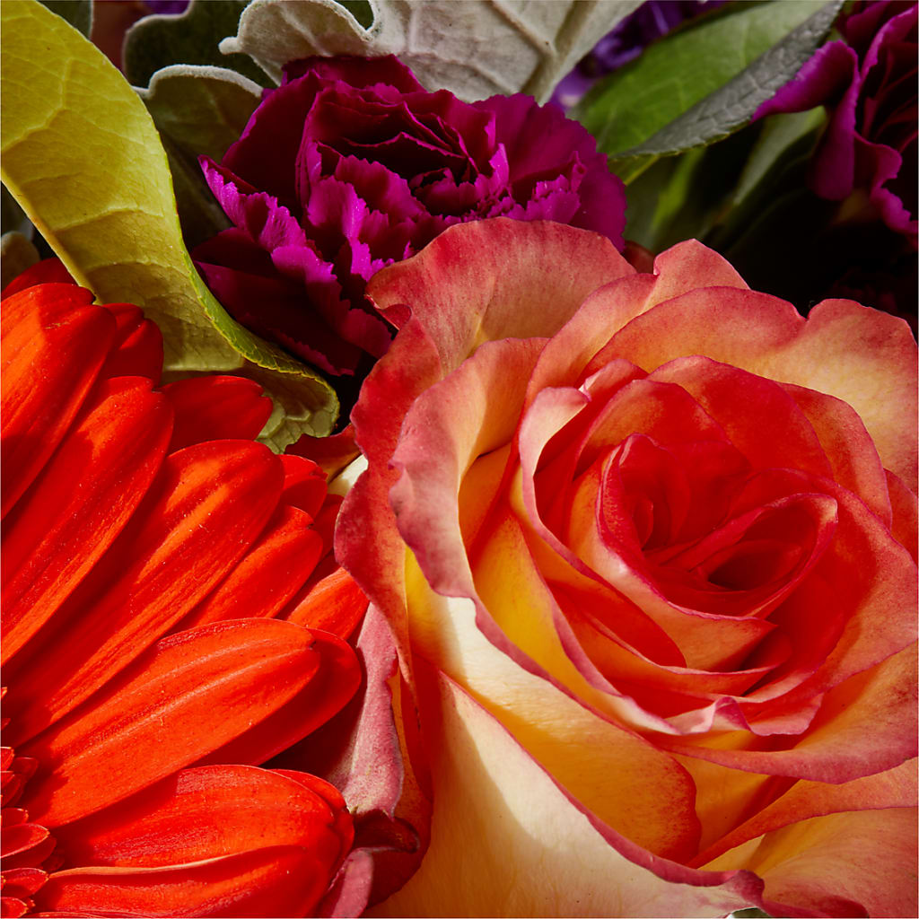 Sangria Bouquet –  Peonies Plants On Main, Woodruff SC