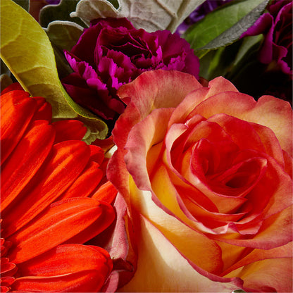Sangria Bouquet –  Peonies Plants On Main, Woodruff SC