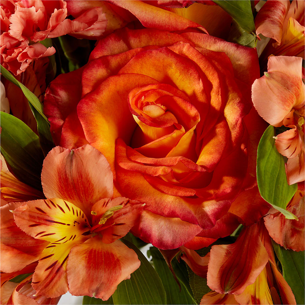 Apricot Glow Bouquet –  Peonies Plants On Main, Woodruff SC