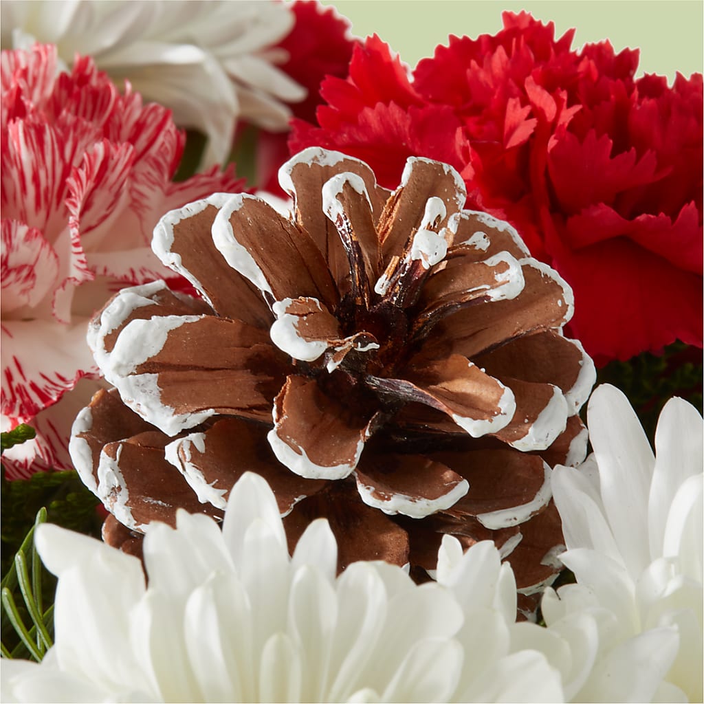Candy Cane Lane Bouquet –  Peonies Plants On Main, Woodruff SC