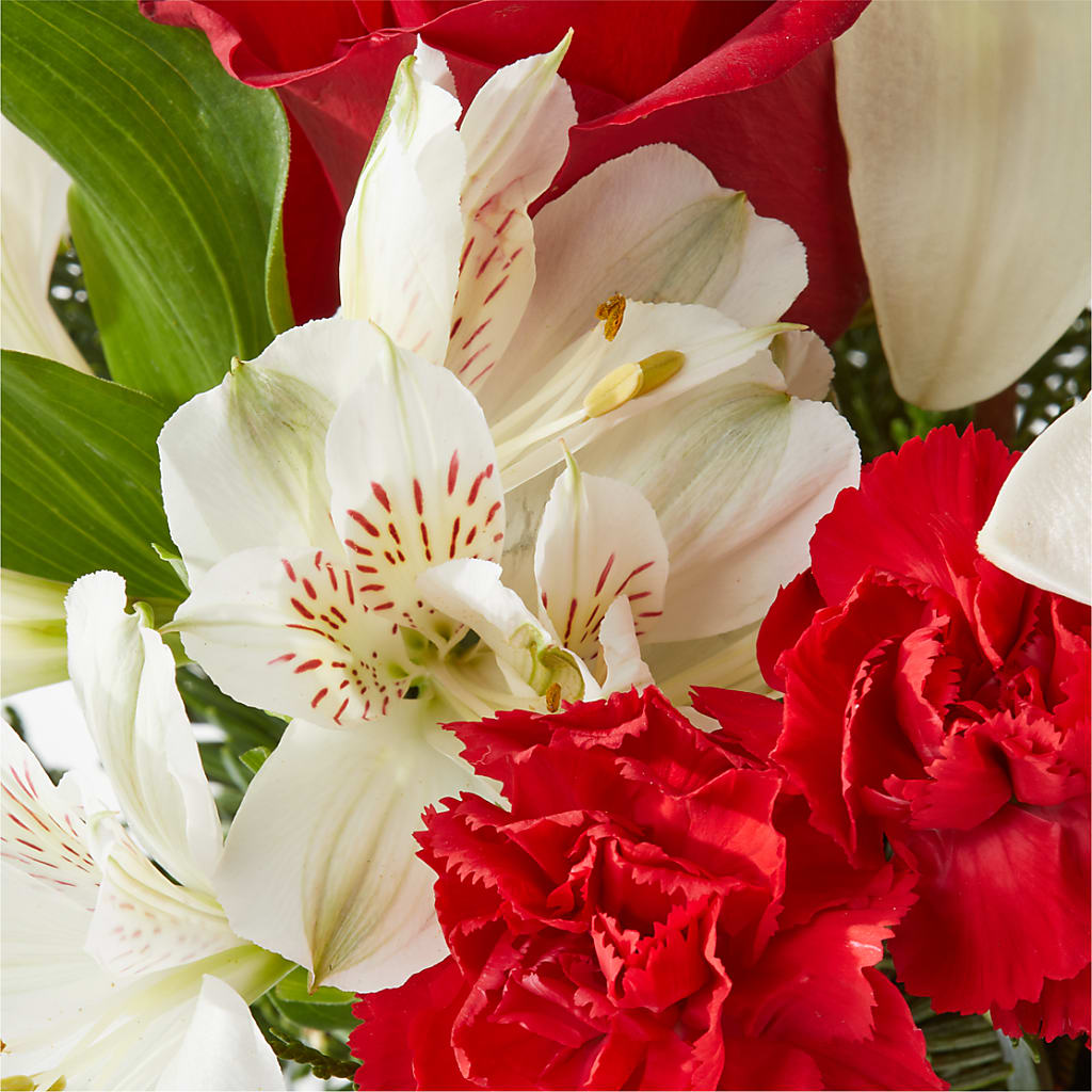 Holiday Season Bouquet –  Peonies Plants On Main, Woodruff SC