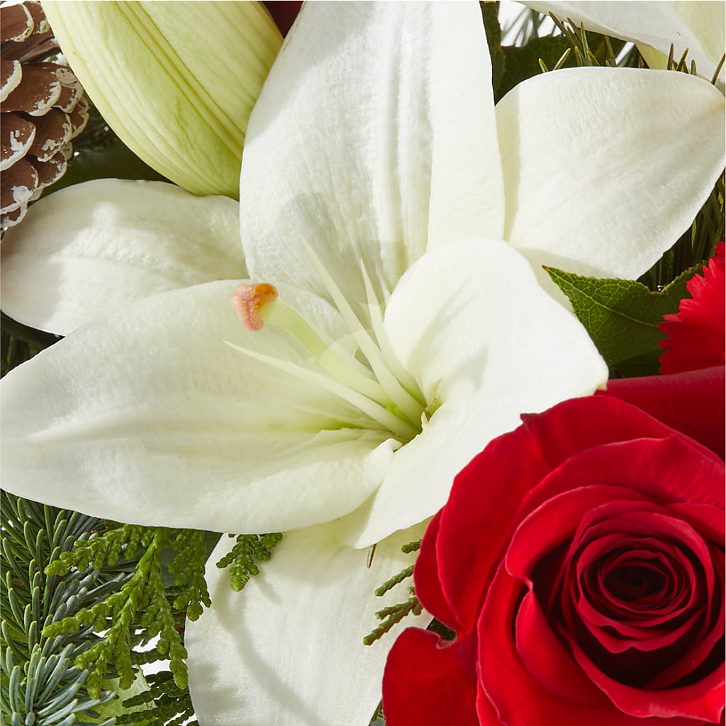 Oh So Jolly Bouquet –  Peonies Plants On Main, Woodruff SC