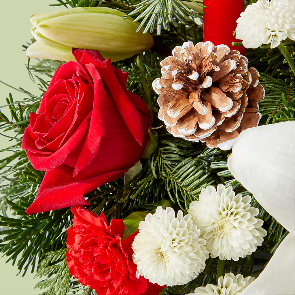 Seasonal Festivities Centerpiece –  Peonies Plants On Main, Woodruff SC