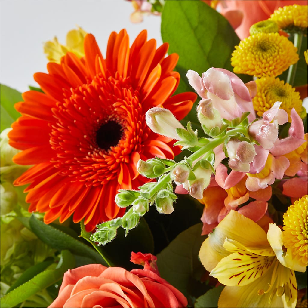 Autumn Sunshine Bouquet –  Peonies Plants On Main, Woodruff SC