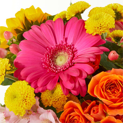 Beach Day Bouquet –  Peonies Plants On Main, Woodruff SC