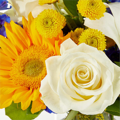 Stargazing Bouquet –  Peonies Plants On Main, Woodruff SC