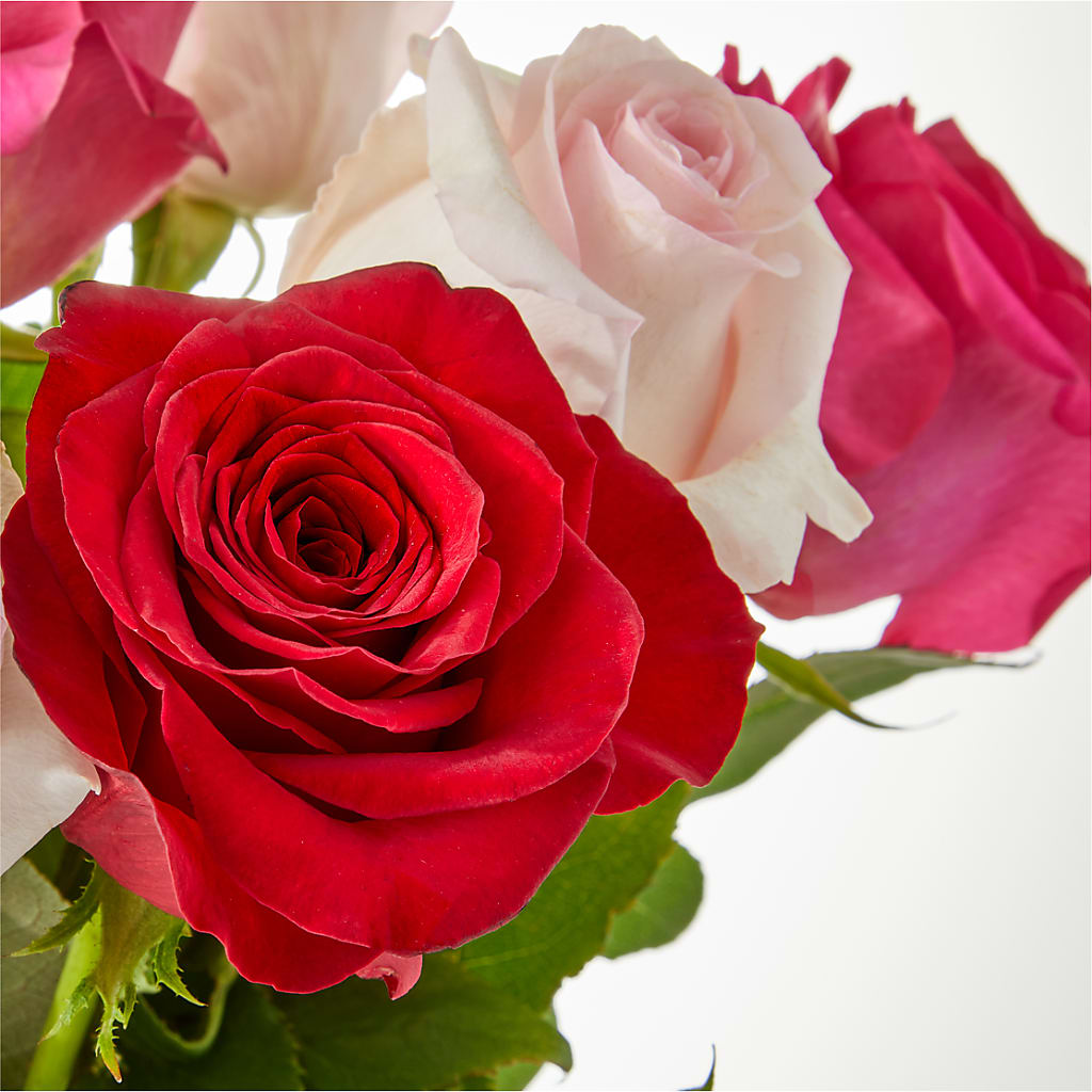 Charming Rose Bouquet –  Peonies Plants On Main, Woodruff SC