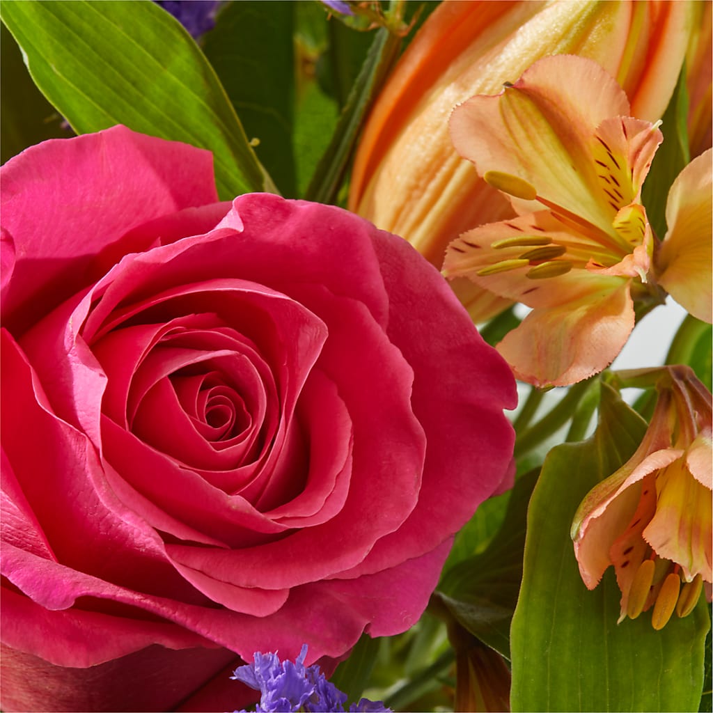 Joyful Bouquet –  Peonies Plants On Main, Woodruff SC