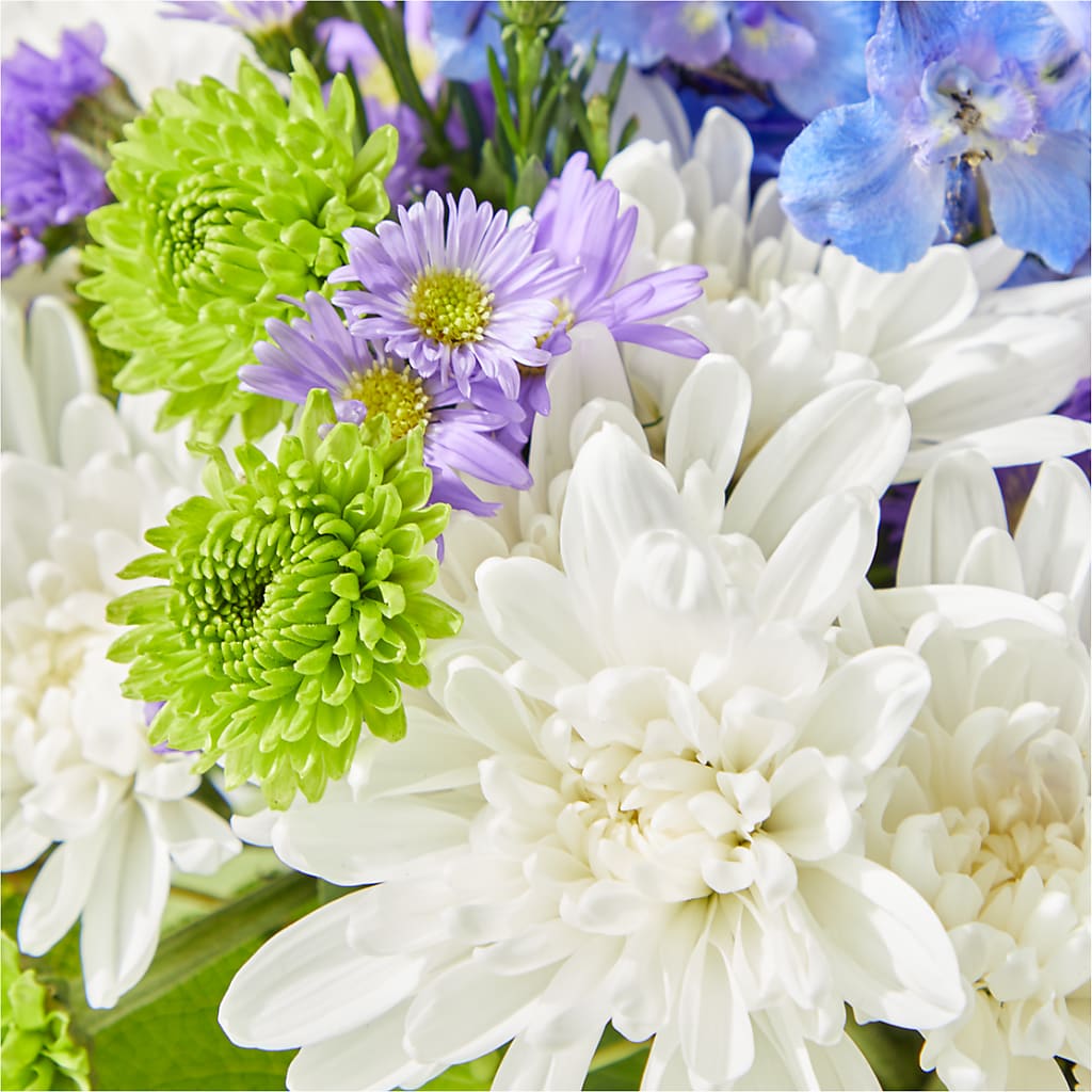 Genuine Gestures Bouquet –  Peonies Plants On Main, Woodruff SC