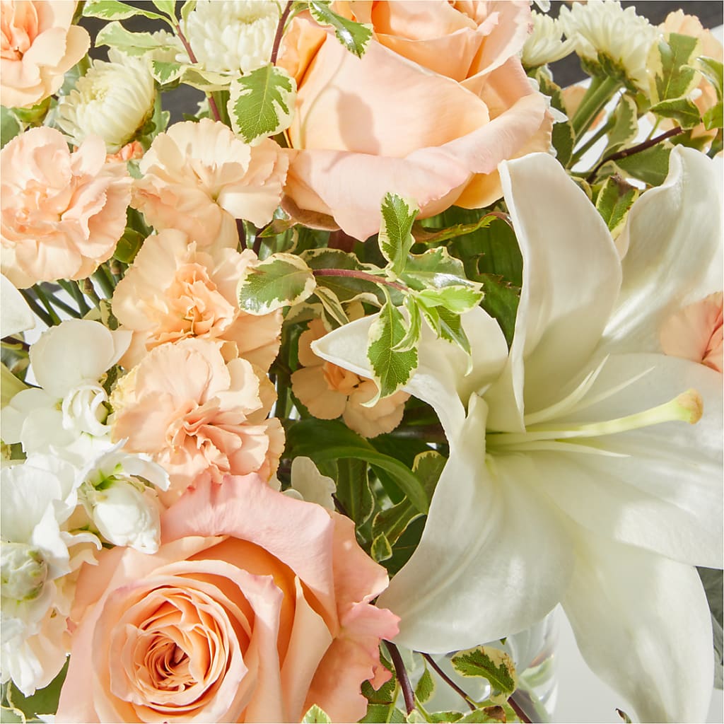 Darling Bouquet –  Peonies Plants On Main, Woodruff SC