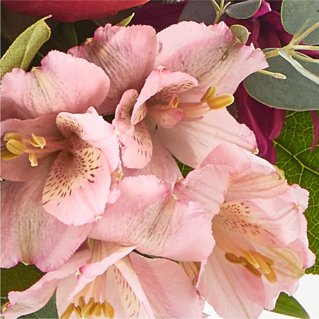 Berry Cobbler Bouquet –  Peonies Plants On Main, Woodruff SC